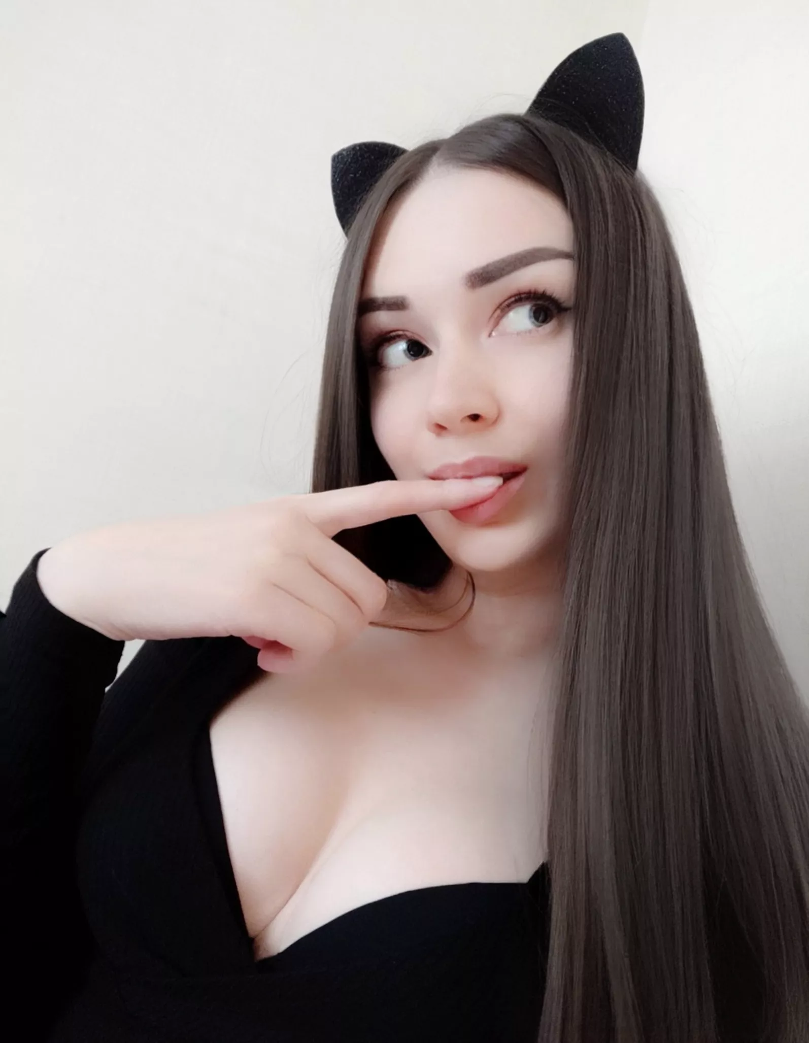 Meow 😻 who wants a kitten?