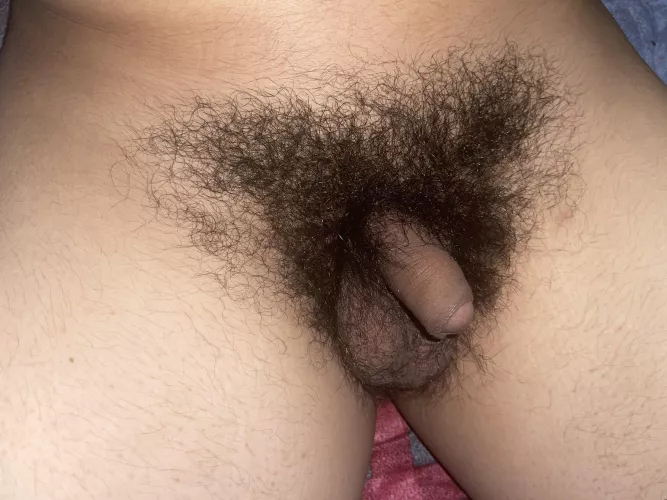 My bush looks nice tonight