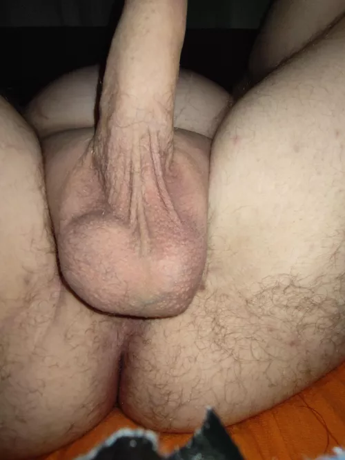 Need to get my balls and cock sucked 🤤