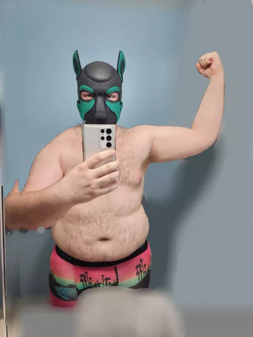 Pup is down 7 lbs in weight. Up 30 on bench and up 60 on squat. Muscle pup loading........