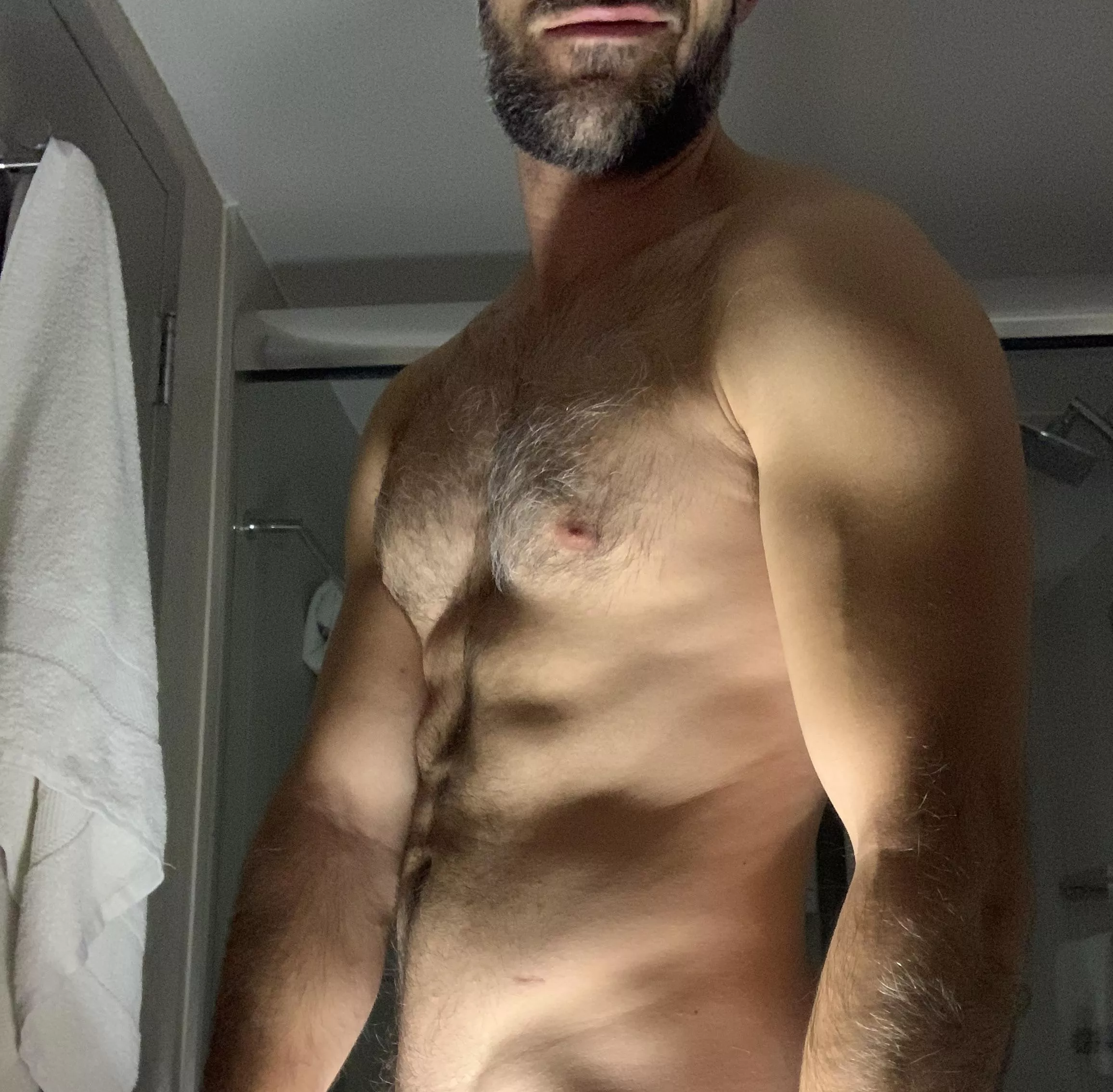 Salt and pepper beard and chest hair.