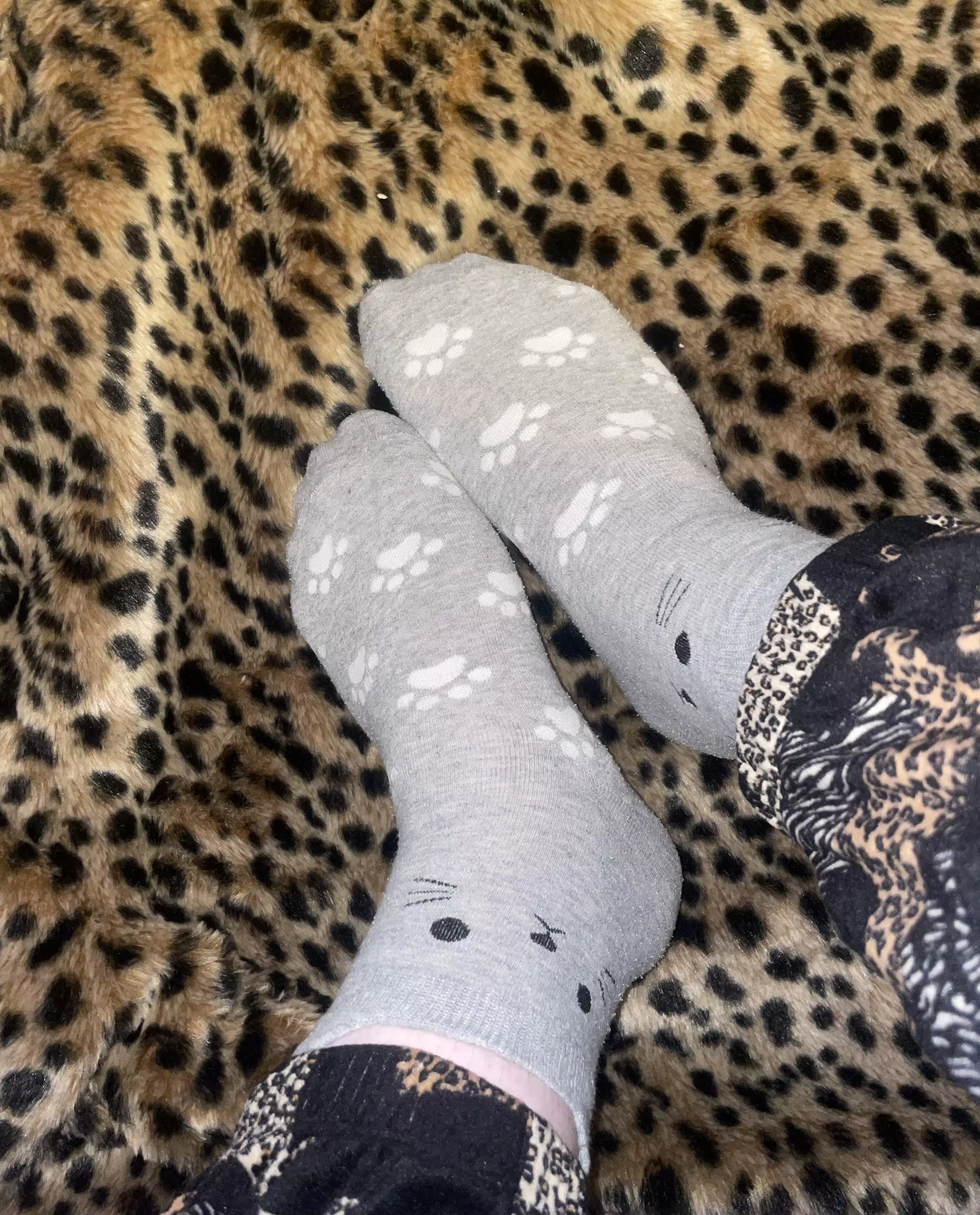 [SELLING] purrfect paws