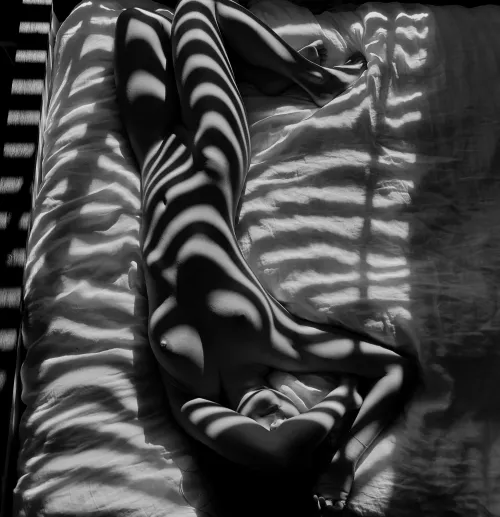 tangled up in the sheets