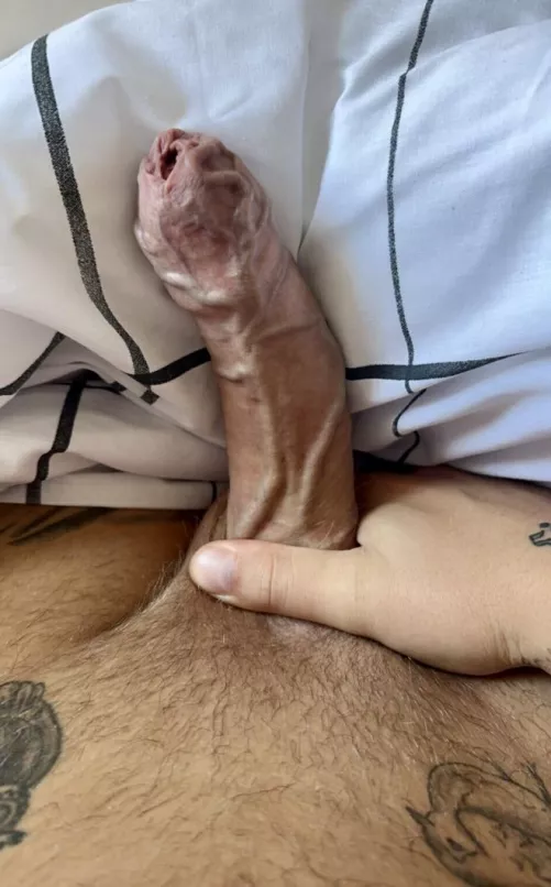 Thick & vainy - who is ready to look after this for me?