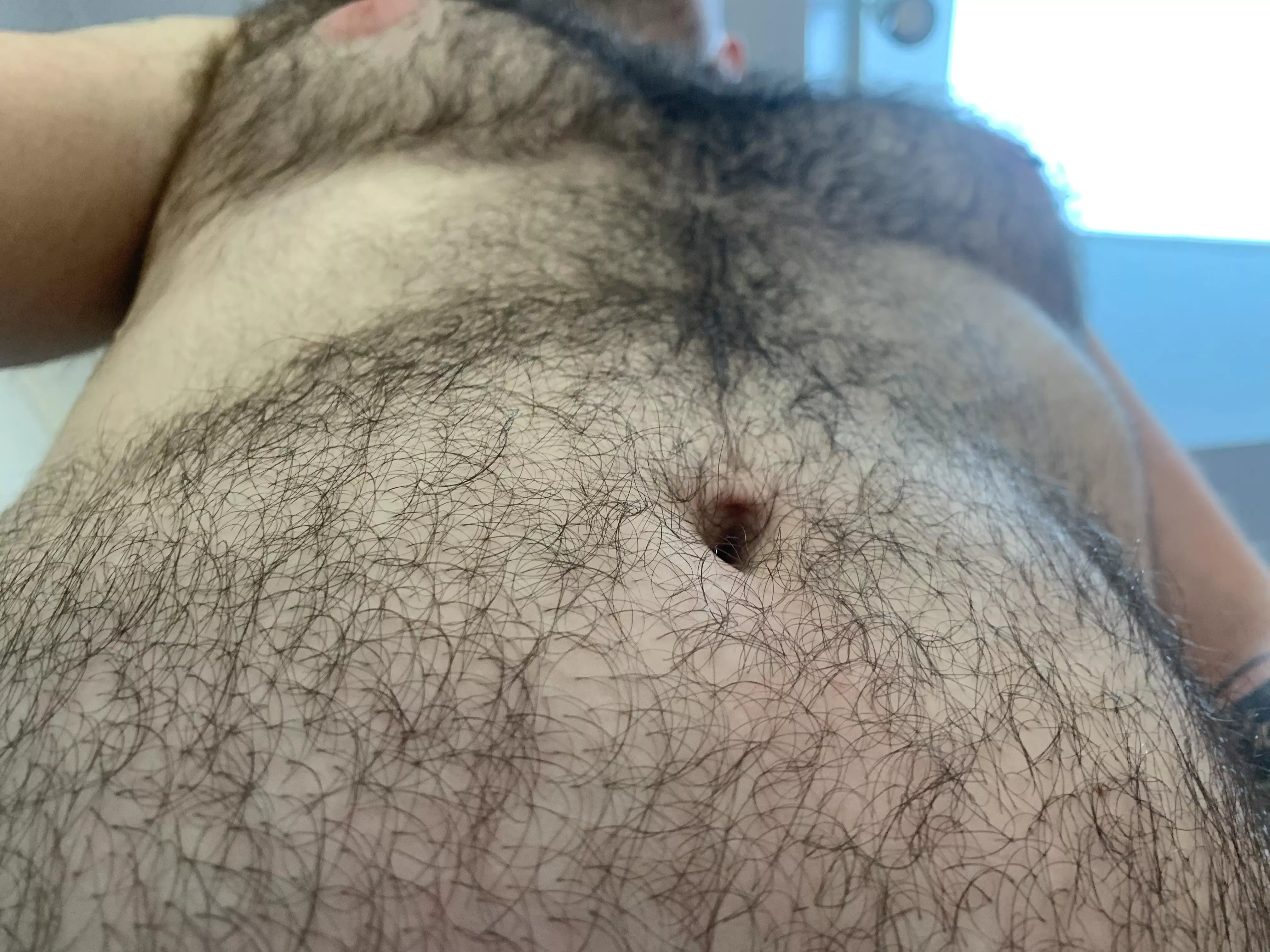 Trees through the forest 🌳