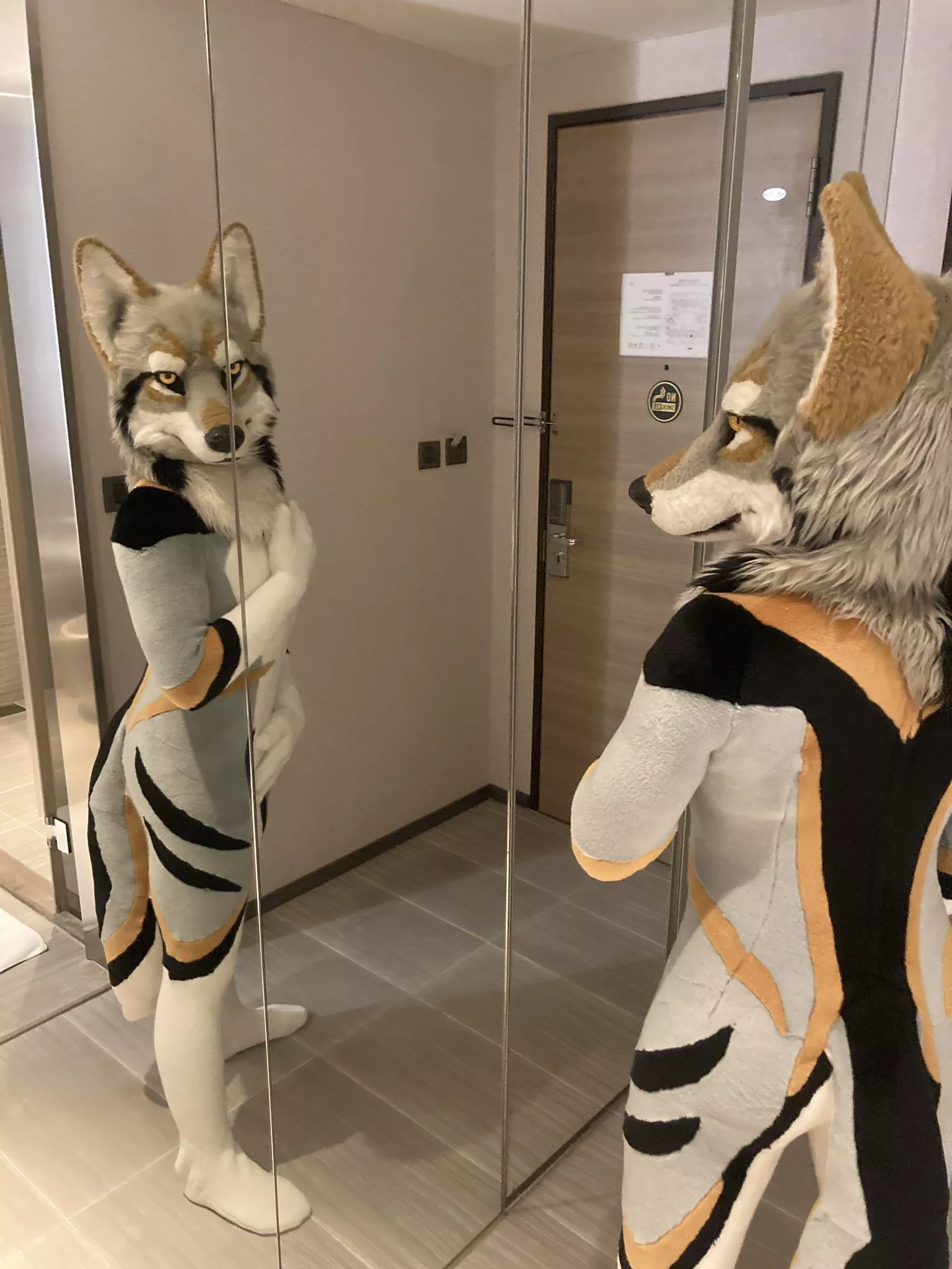 What are these onesie-esque fursuits often worn by Japanese fursuiters like @AkuWolf here?