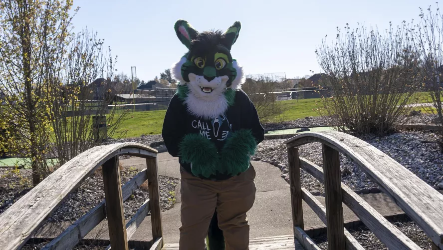 You must answer the cabbit's riddle before crossing the bridge