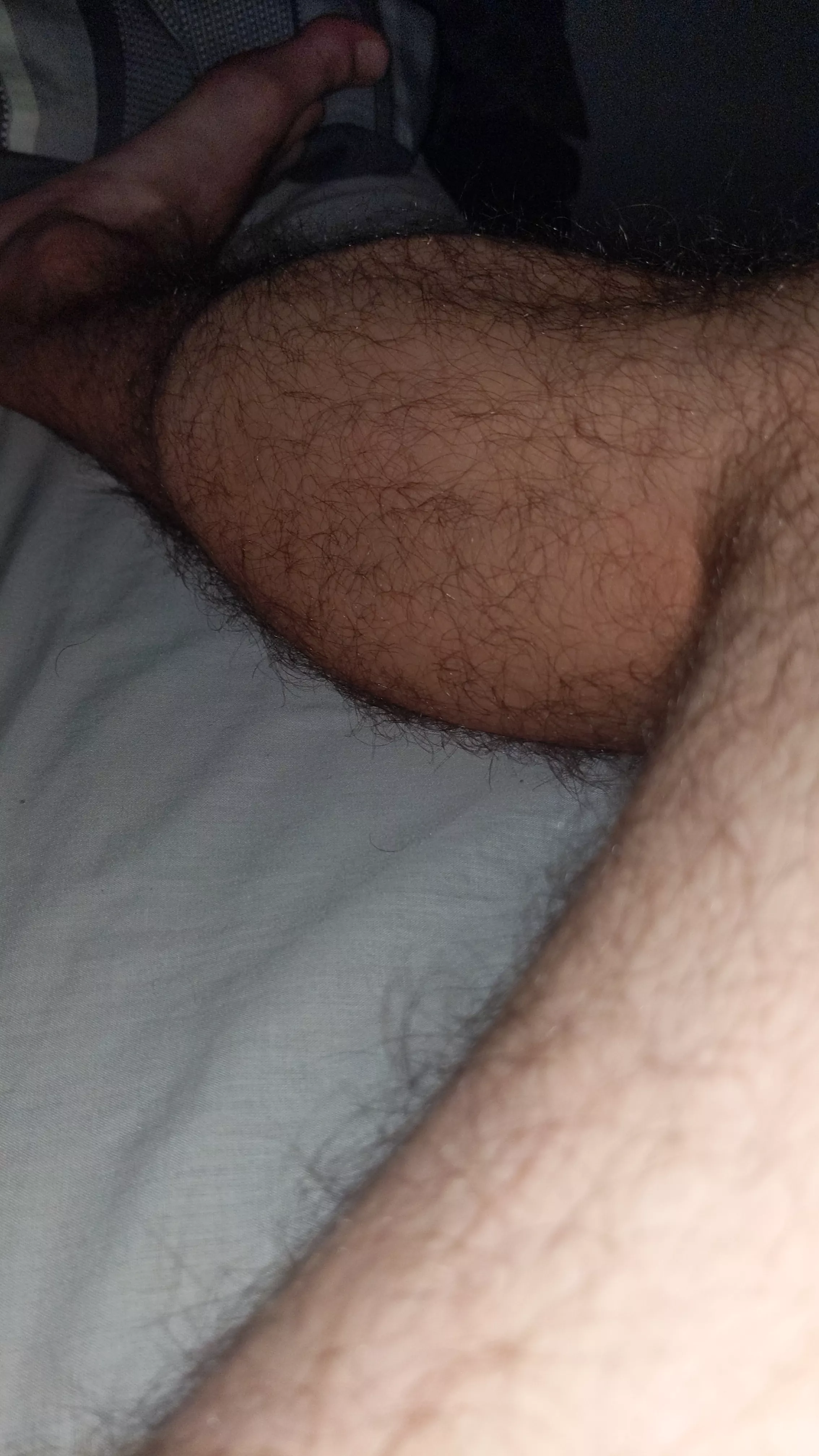 23 fit hung athlete. Hmu if you have muscular legs @shawnk2234