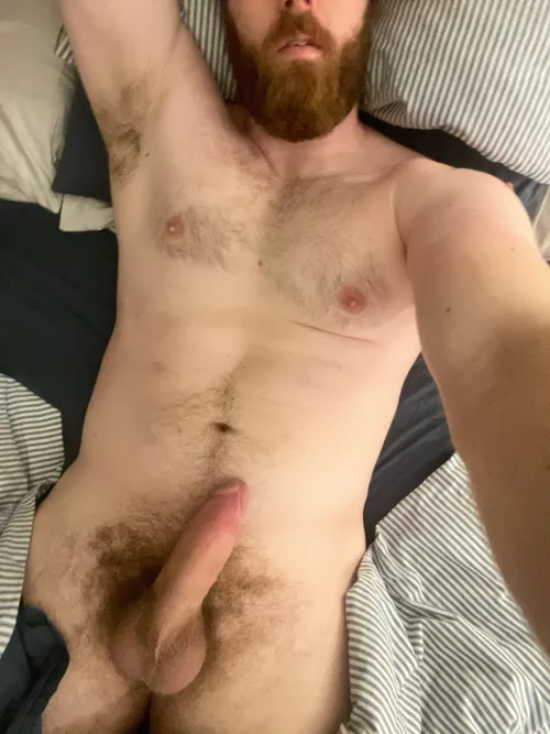 29, 6’5”, bi, and want to please every last one of you with my thick beard, thick cock, or fat ass. What’s your pick?