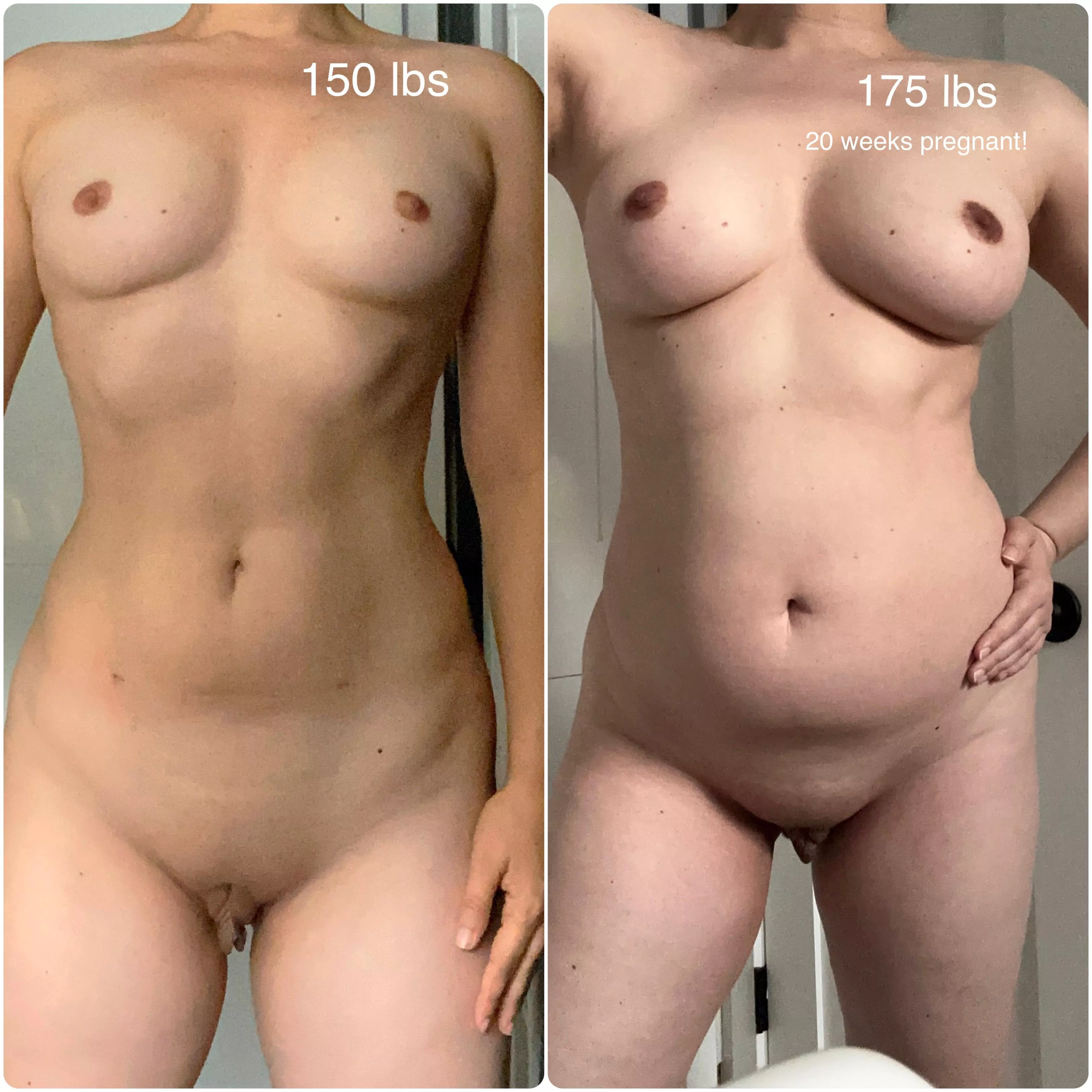 36F 175 lbs 5’5” 20 weeks pregnant!