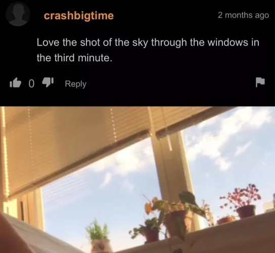 A gentleman with great taste in scenery