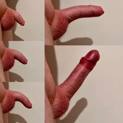 As the last post went well… he’s a side profile (2” to 7”)