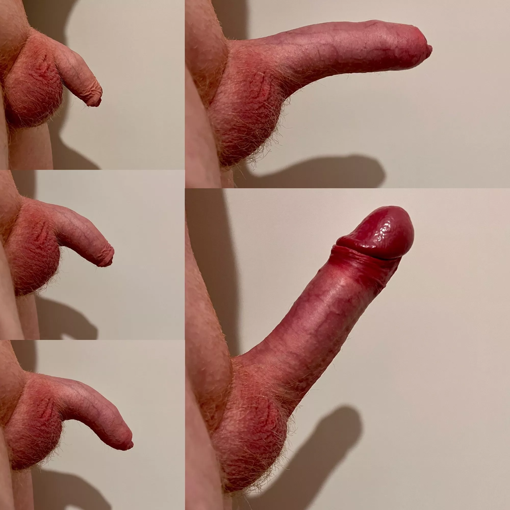 As the last post went well… he’s a side profile (2” to 7”)