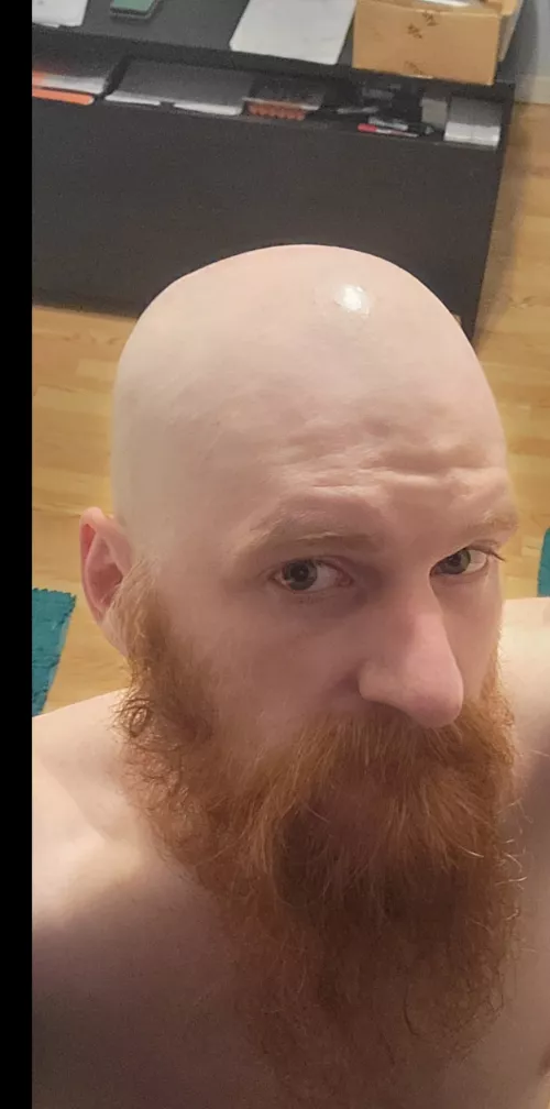 Bearded and bald
