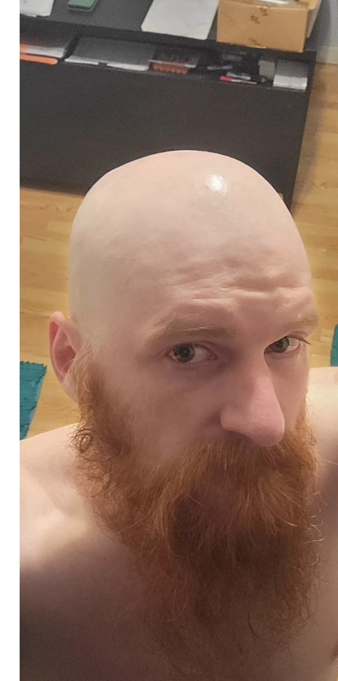 Bearded and bald