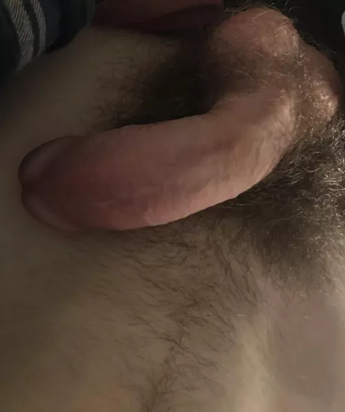 Do I have a nice cock?