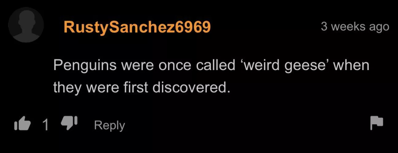 Educational fun facts with RustySanchez6969