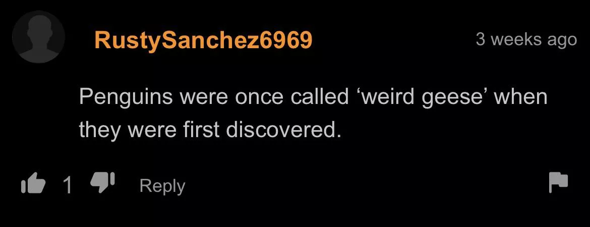 Educational fun facts with RustySanchez6969