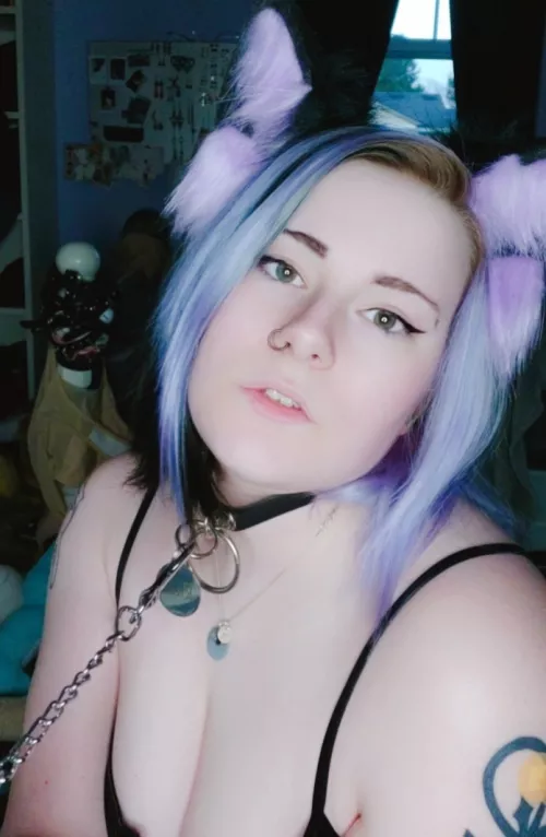 (F21) catgirl with a collar and a leash 💜