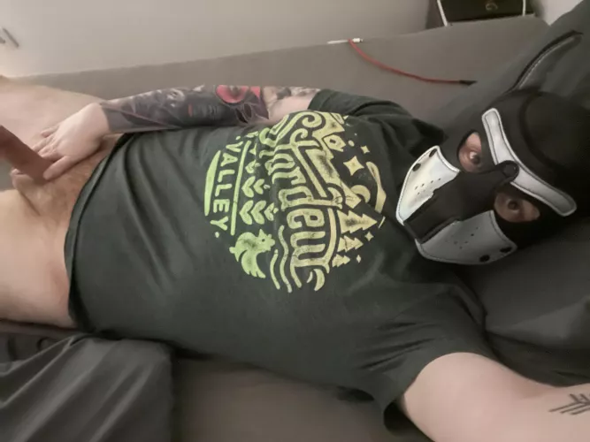 Good boy needs a cream filling