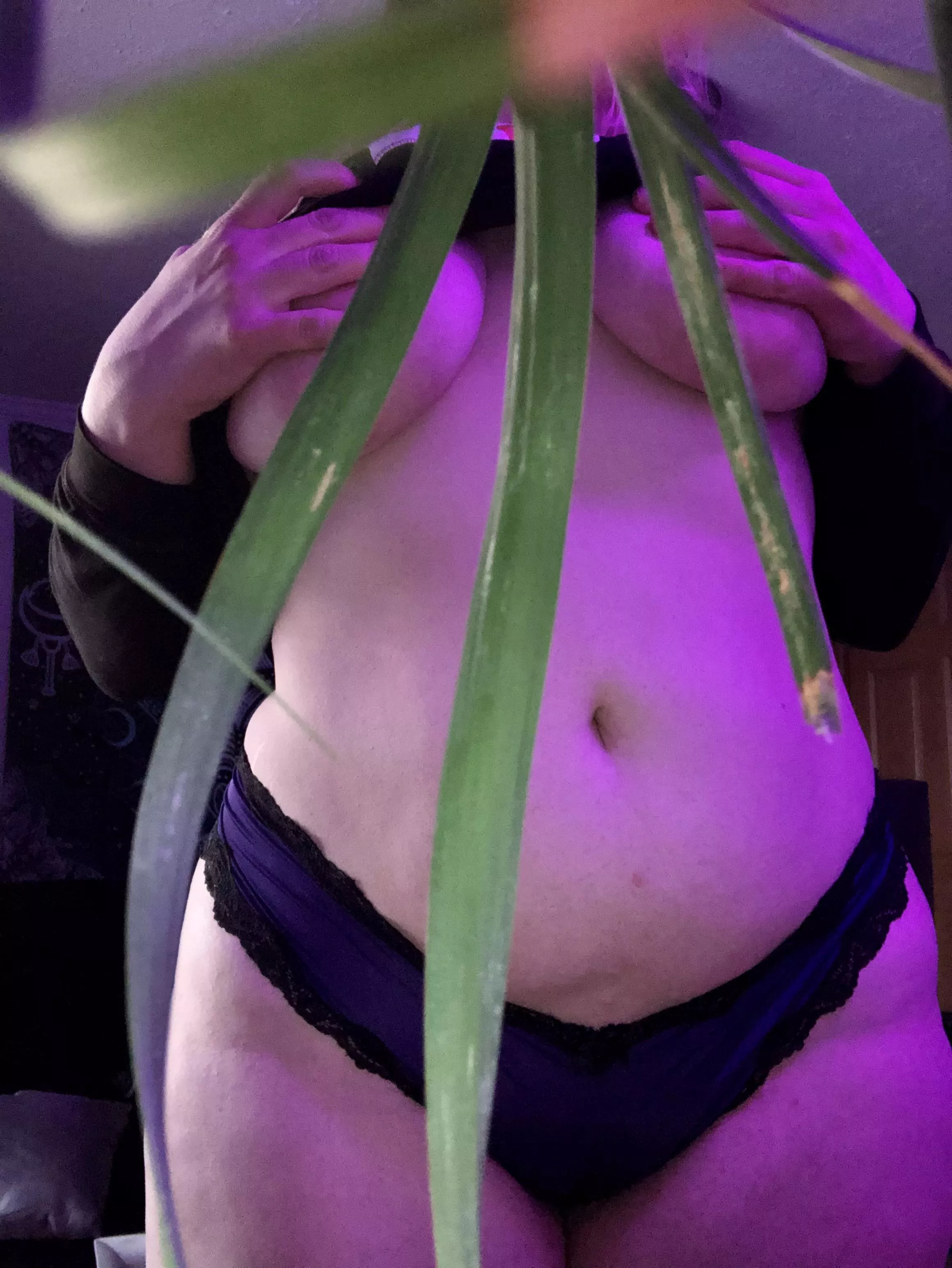 Good morning from my ponytail palm and I! Really hoping that today goes as smooth as yesterday did