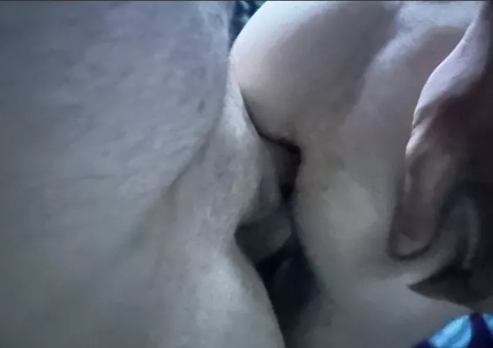 Got another good filling from this same guy