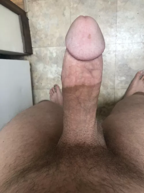 Have some serious morning wood that needs to get rated