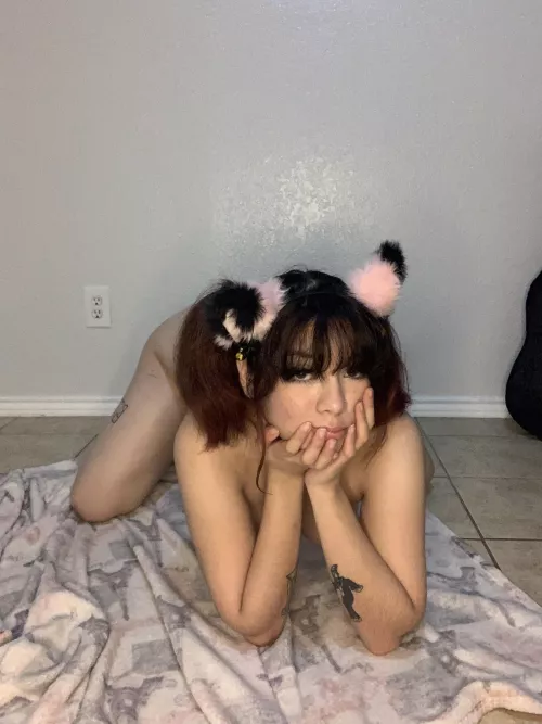 meow!! happiest kitten ever :3