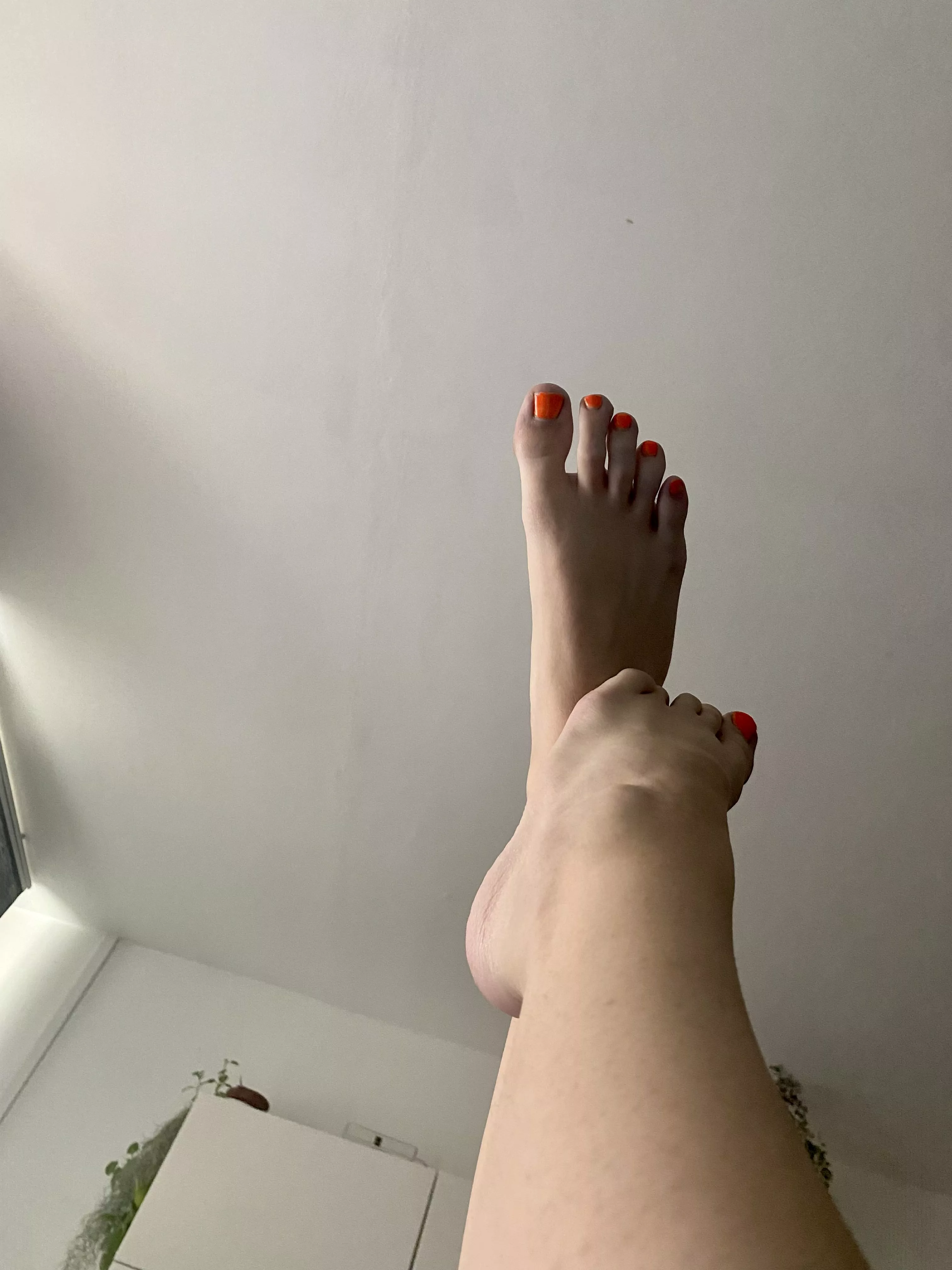 My feets are so petite and cute