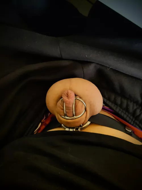 My POV for the next months - thank you my Mistress 💜