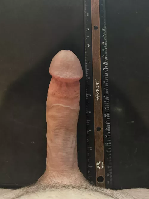 Proof of size