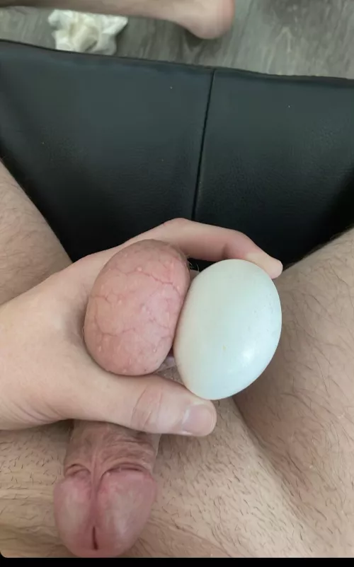 Size comparison