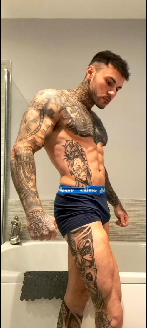 Straight British alpha