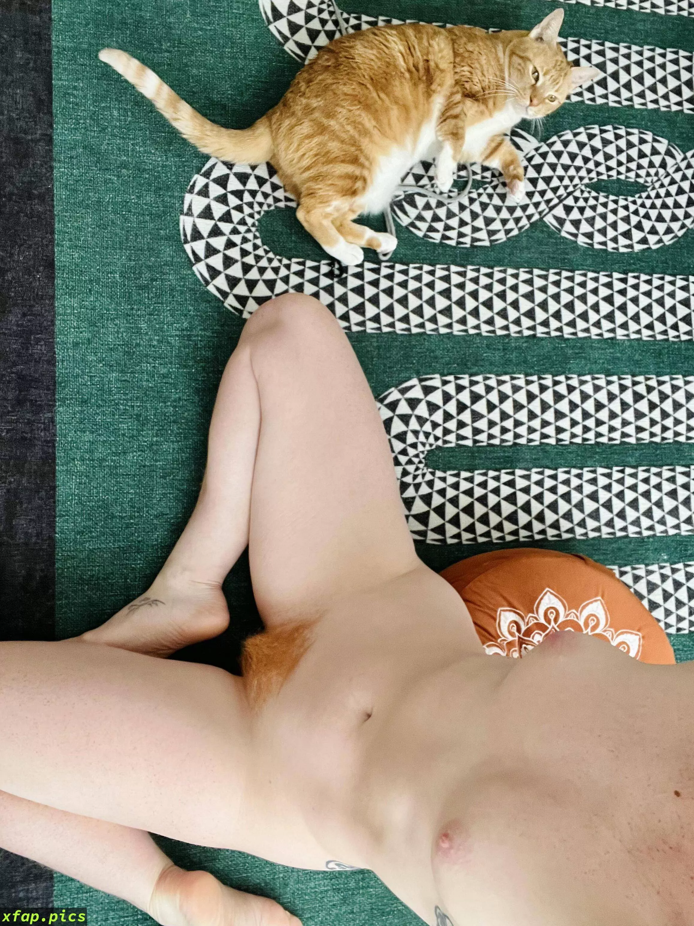 Two ginger kitties in one pic. Can’t beat that :)