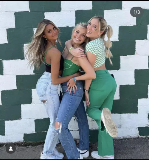 What is your profession