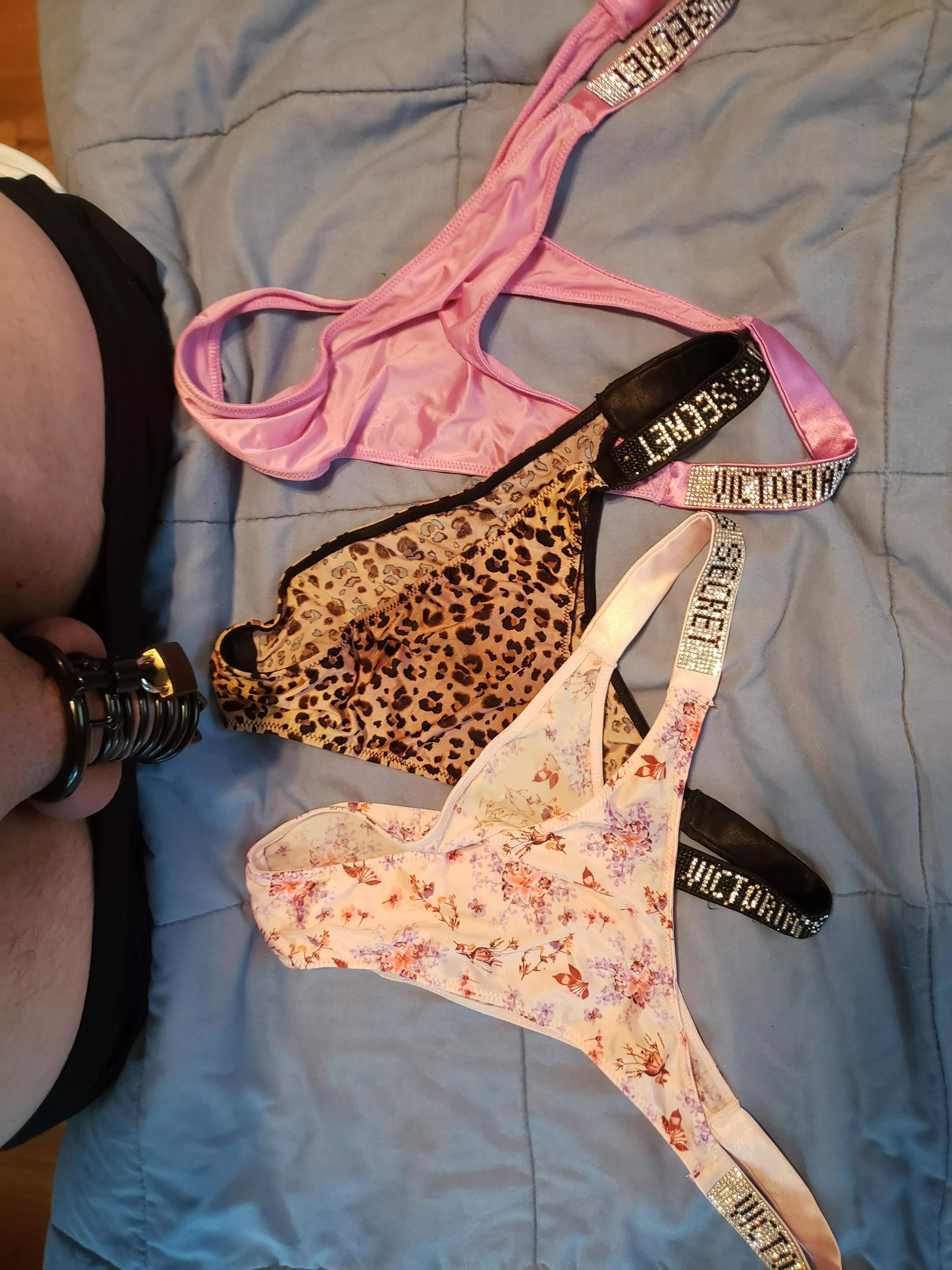 When your wife picks out which panties she wants you to wear