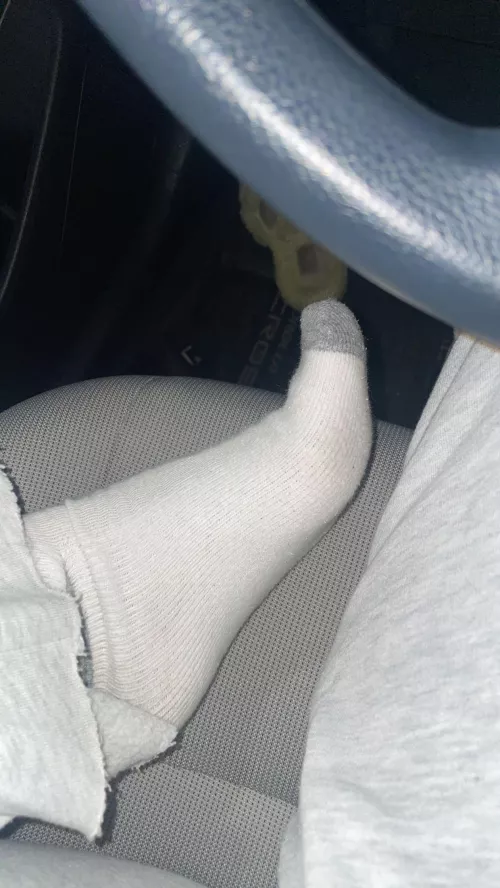 Who wants to sniff them🥰