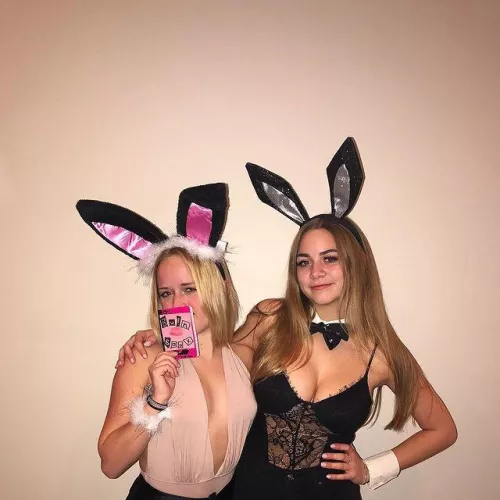 🐰