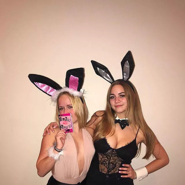 🐰
