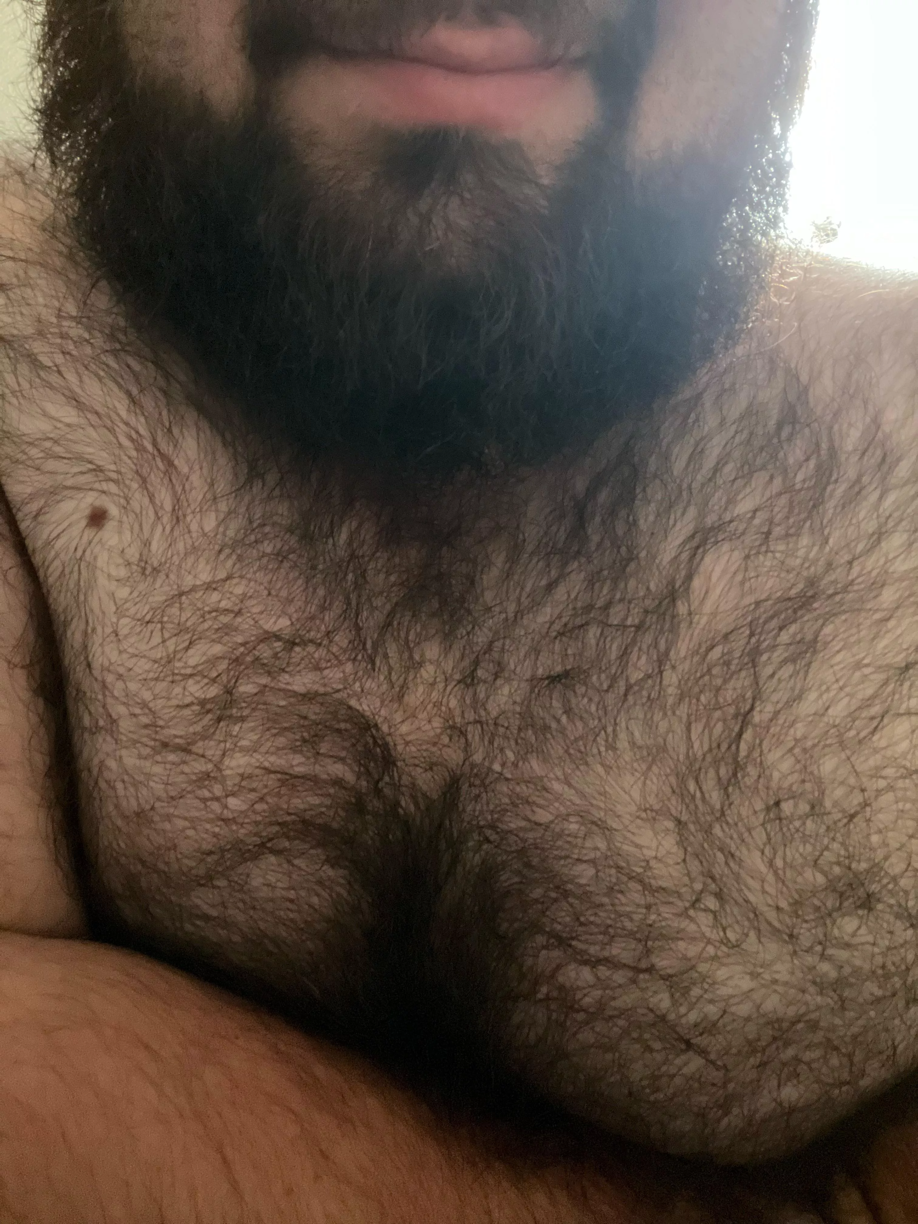 Black as night when you get into the thickest parts of the forest.