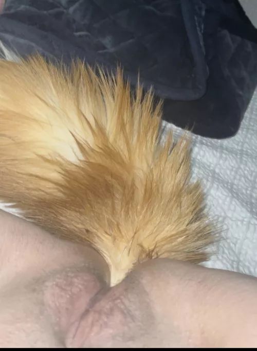 Plugged and ready to receive