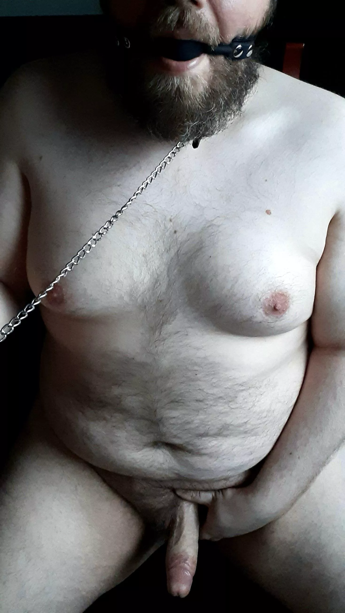 Some pets are well behaved but others require more discipline...