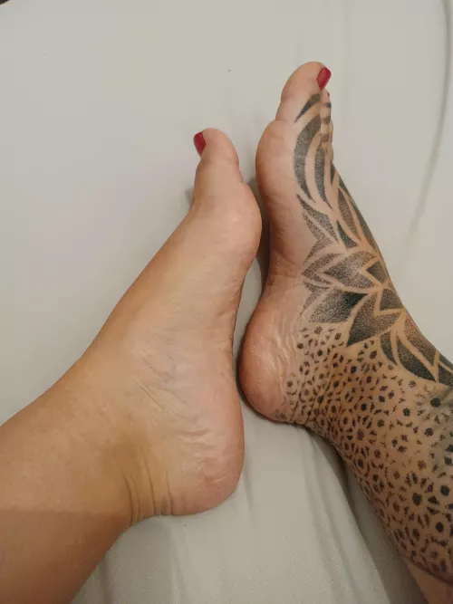 someone needs to take care of them