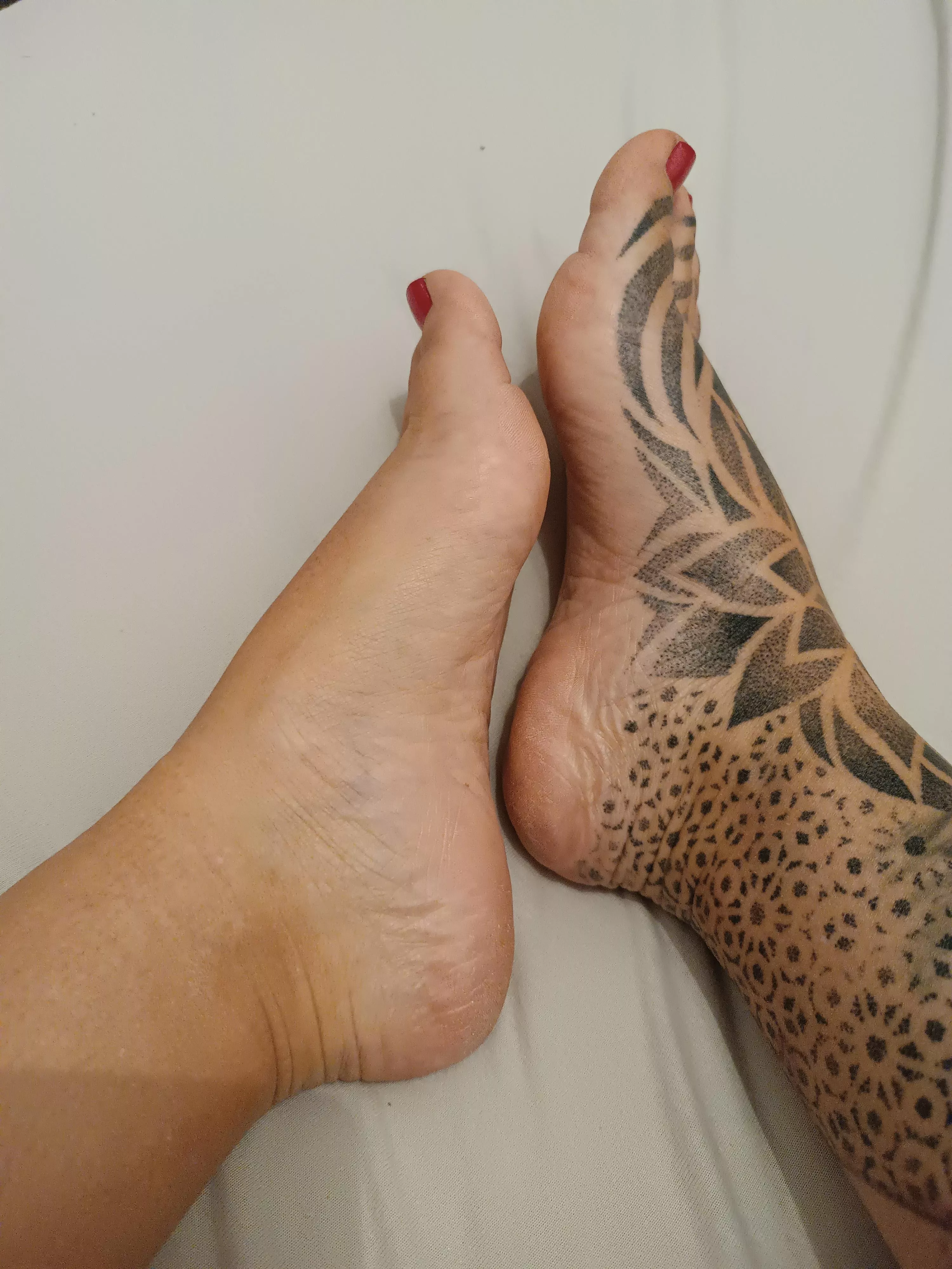 someone needs to take care of them