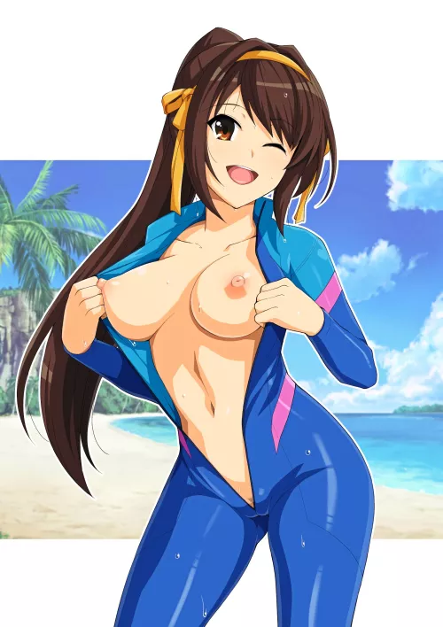 Suzumiya Haruhi Unzipped Wet Suit ( Haruhisky ) [Love Live!]