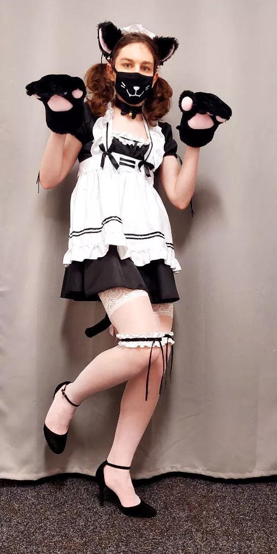 The maid kitty is here🐾. Happy Friday!❤️