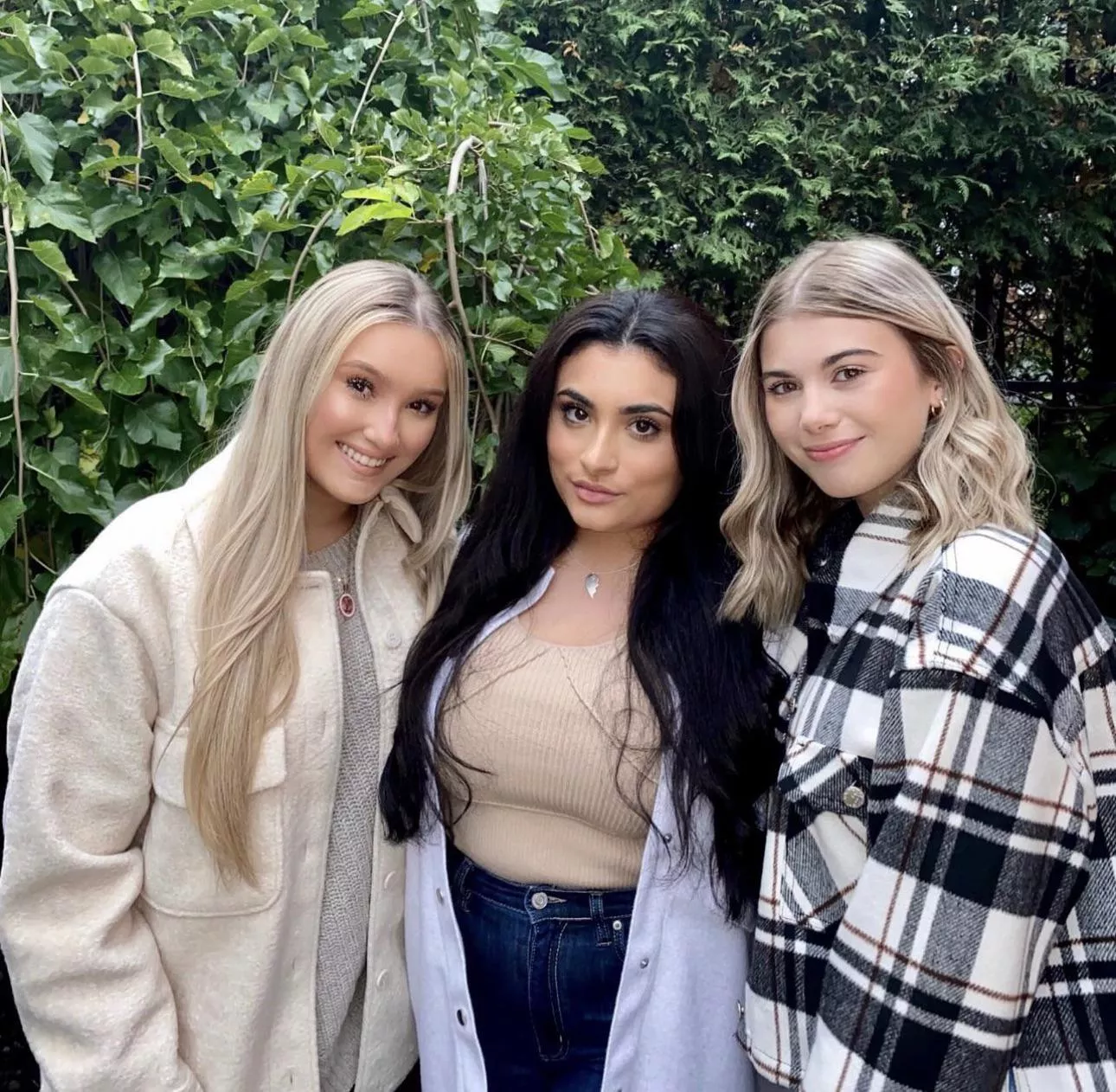 Who you picking? Dm for more pics of any of em