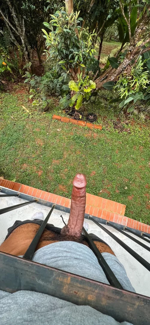 Would you stop and stare if you saw my black cock in public?