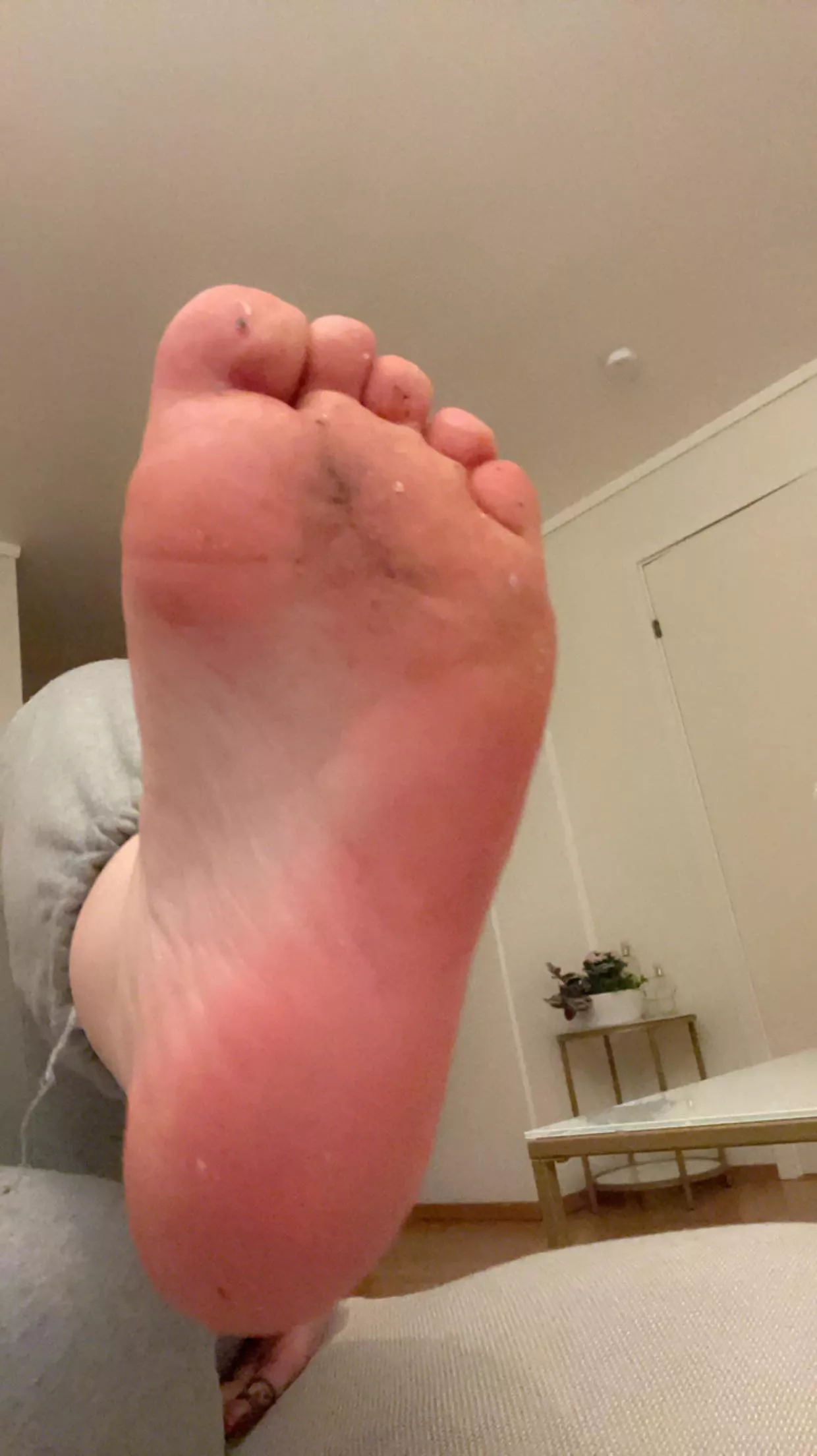 You can clean them for me , oc