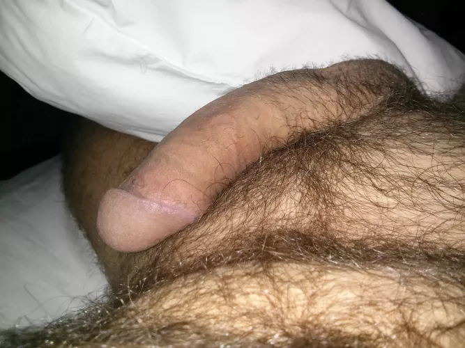 Bro cock [48] 8 inches 8 years ago
